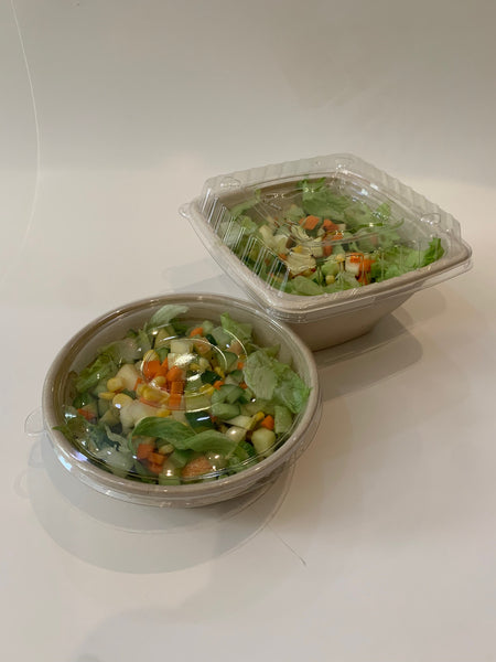 Bagasse Containers