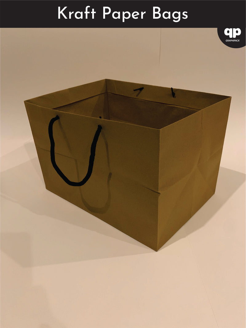 Kraft Paper bags (12x8.5x8 with strings)