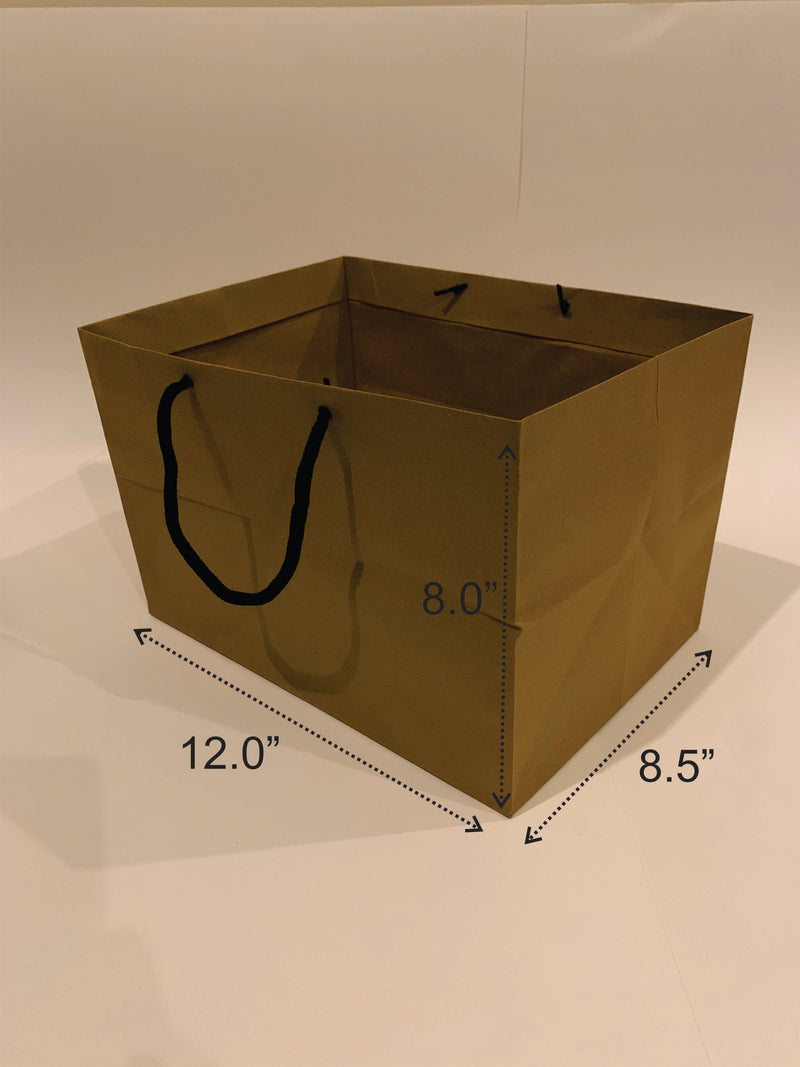 Kraft Paper bags (12x8.5x8 with strings)